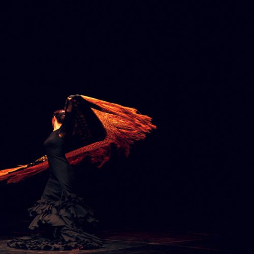 flamenco-dancer-traditional-costume-flamenco-spanish-dance-stage (1)