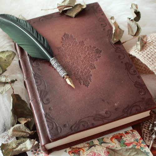 high-angle-shot-quill-pen-old-book-covered-with-dried-flower-petals (1)