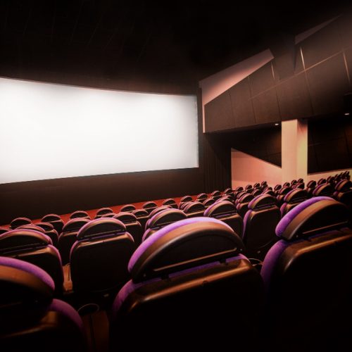 new-cinema-auditorium (1)